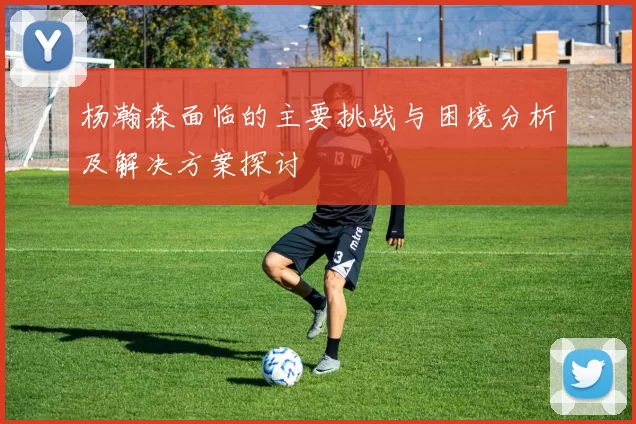 杨瀚森面临的主要挑战与困境分析及解决方案探讨
